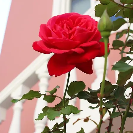 Apartahotel Sugar 4*