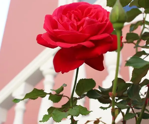 Апарт-отель Sugar 4*