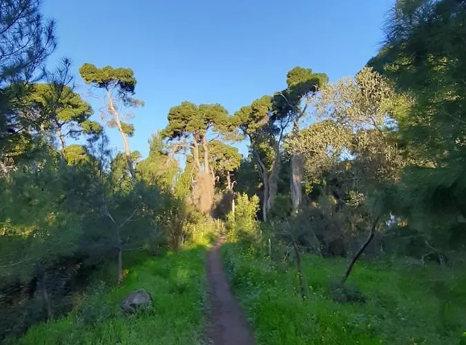 公寓式酒店 Sugar 4*